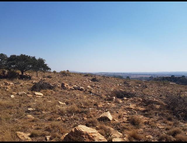 140,000M² SMALLHOLDING FOR SALE IN DONKERHOEK AH